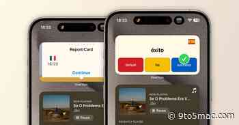 Apollo for Reddit developer launches iOS widget to help users learn a new language