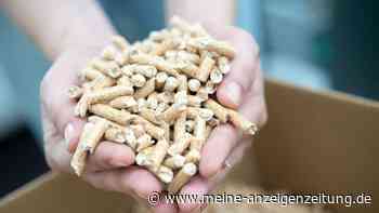 Pellets im Test: Warm wird's, aber woher kommt das Holz?