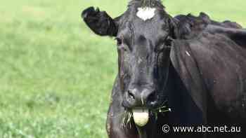 How does Australia reduce emissions from fertiliser without risking our food supply?