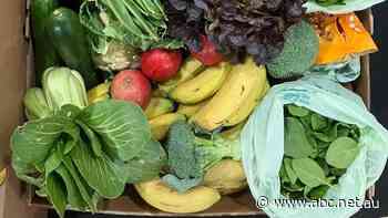 The $90 billion question: How does Australia reduce emissions from fertiliser without risking our food supply?