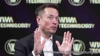 Twitter-Nachfolger X: Musk droht mit Rückzug aus Europa