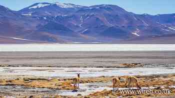 The World's Soils Are Becoming Dangerously Degraded, but Rare Microbes Offer Hope