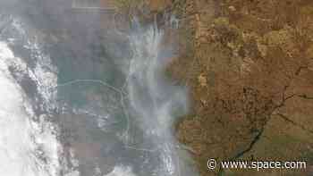 Wildfires burned a staggering 30% of Brazil's Pantanal wetlands in 2020, satellite data shows