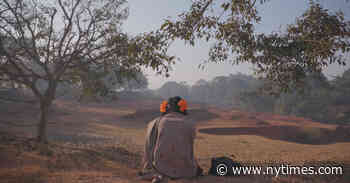 ‘To Kill a Tiger’ Review: The Survivor Who Refused to Be Shamed