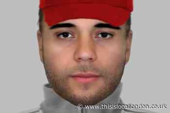 Video and e-fit released of Hampstead Heath 'flasher'