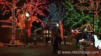 Lincoln Park ZooLights tickets go on sale