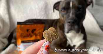 You can get Pumpkin Spice Lattes and treats for your dog - but only for a short time