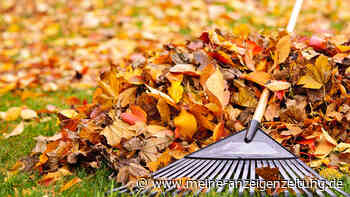 So werden Sie das Herbstlaub los – ganz ohne Rückenschmerzen