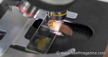 Partnership aims to improve emerging animal disease detection