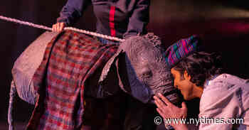 ‘The Vanishing Elephant’ Review: Bringing ‘a Thing of Wonder’ to Life