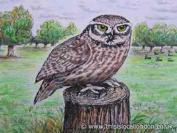 Nature Notes: Truth about 'twit-twoo'