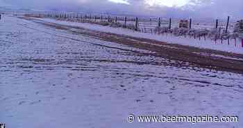 CSU supports livestock producers as wolves reenter state