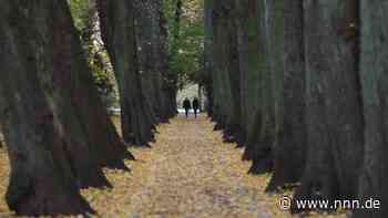 Im Rostocker Lindenpark fließt ab 2024 das Regenwasser besser ab