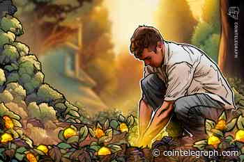 What is the Pareto 80/20 rule, and how does it apply to cryptocurrencies?