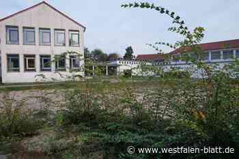 Neue Spiel- und Freizeitfläche soll 2024 eingeweiht werden