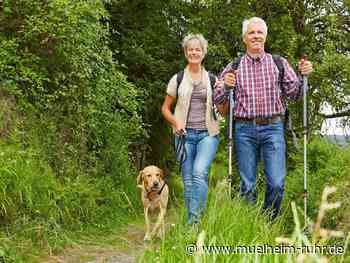 Jeden ersten Donnerstag im Monat: Gemeinsam spazieren in Styrum