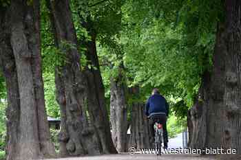 Radfahrer in Kirchlengern wünschen sich sichere Nord-Süd-Verbindung