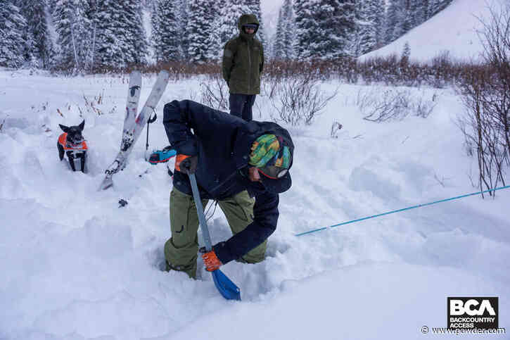 Companion Rescue Practice 101