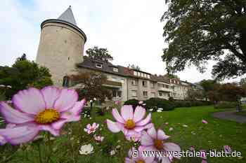 „Alles außer Pink, Lila und gestreift“