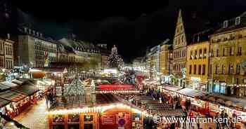 Bayreuth: Stadtbauhof sucht "stattlichen Weihnachtsbaum" für Marktplatz - die Voraussetzungen