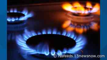 Bill payment assistance programs offered to customers by Virginia Natural Gas