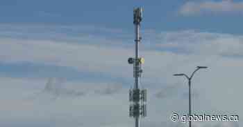 Petition launched for improved cell phone service in N.E. Calgary communities