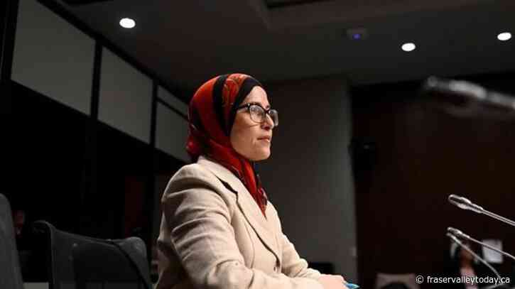 Israel-Hamas war cannot become another 9/11 moment, says anti-Islamophobia envoy