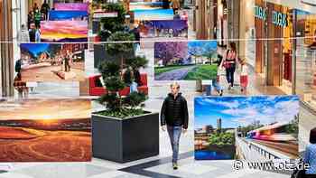 Benefizauktion läuft: Nur noch ein Bild bei Auktion in Goethe Galerie Jena ohne Gebot