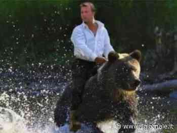 "Grigliate d'orso". La proposta-shock del candidato di centrosinistra