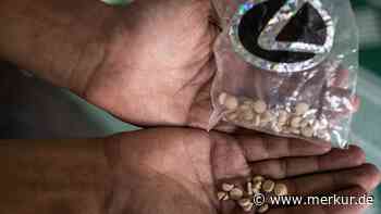 Angriff auf Israel: Hamas-Kämpfer sollen unter Drogen gestanden haben