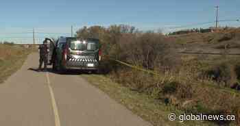 Victim of alleged assault near Calgary Zoo found in life-threatening condition