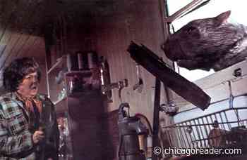 Hollywood Hates Rats