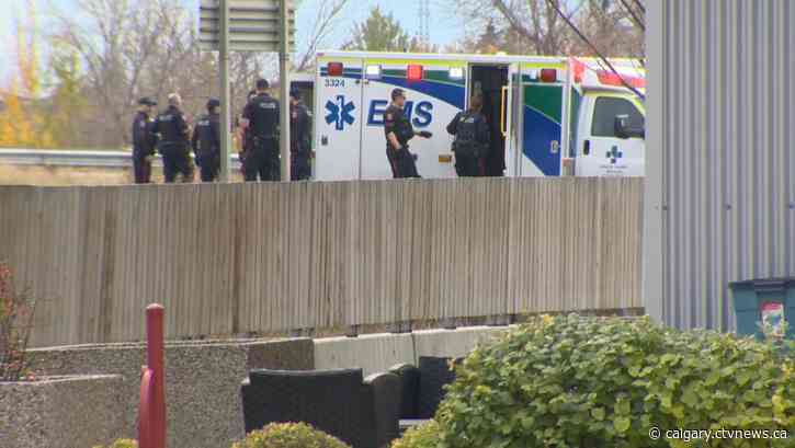 Calgary assault victim located, suspect in custody after manhunt