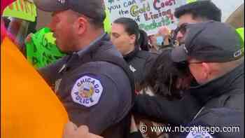 Ald. Julia Ramirez issues statement after being battered during Brighton Park protest