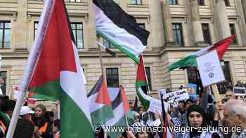 Wieder Palästina-Demo auf dem Braunschweiger Schlossplatz