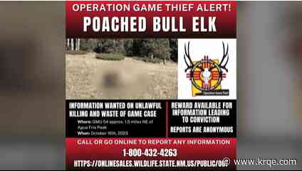 Game and Fish wardens search for elk poachers