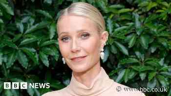 Gwyneth Paltrow says nepo baby label is an 'ugly moniker'