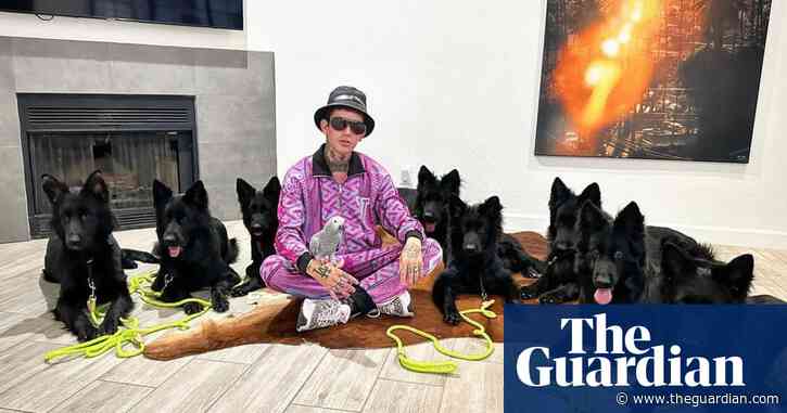 Controversial US dog trainer Dog Daddy says he cancelled Australian tour due to backlash