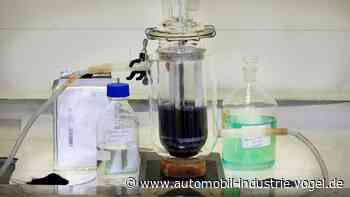 Wundermittel Oxalsäure