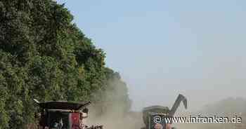 Ukrainische Bauern bleiben auf der Ernte sitzen