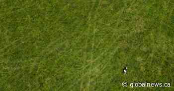 Municipalities call on Ford government to reimburse cost of Greenbelt flip-flop