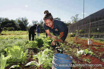For Hawaii’s Teacher of the Year, the focus is on Leilehua’s Fall Fest