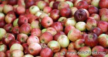 'You're representing a lot of culture': Affy Tapple still an original at 75