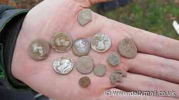 Talk about striking gold! Time Team fan uncovers a huge hoard of Roman coins in a field in North Wales
