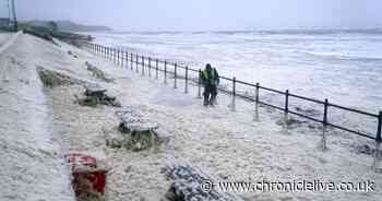 What is the strange foam that has washed up on Sunderland's Seaburn beach?