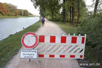 Rätselhaftes Tiersterben am Dortmund-Ems-Kanal