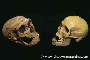 Neanderthal DNA Handed Down Through Millenia Makes Modern Humans More Sensitive to Pain