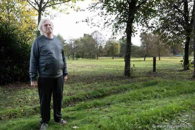 Kunstenaar protesteert tegen kappen van bomen op eigen perceel: “Het zijn mijn kunstwerken die sneuvelen”