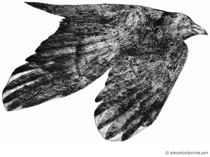 Edmonton Events: Three to See includes two SNAP openings, The Good Lovelies and Bottoms