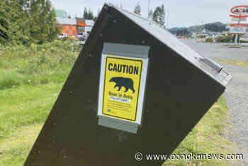 Alberta mountain towns work to coexist with bears through warnings and other actions